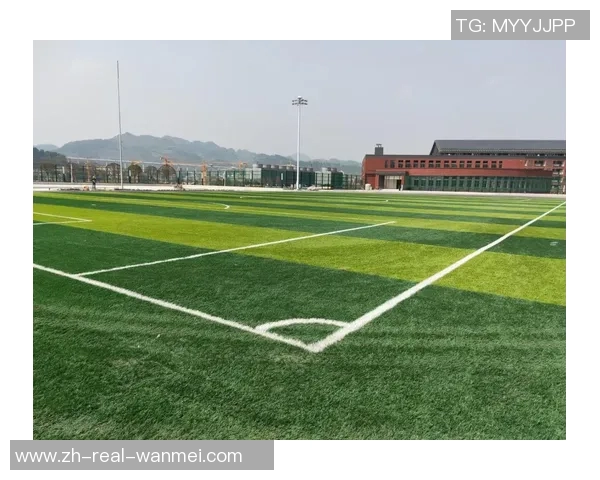 探索广州天然足球场的魅力与特色体验尽享足球文化的无限乐趣